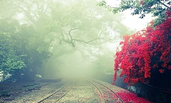 长沙雨花白晴零售有限公司